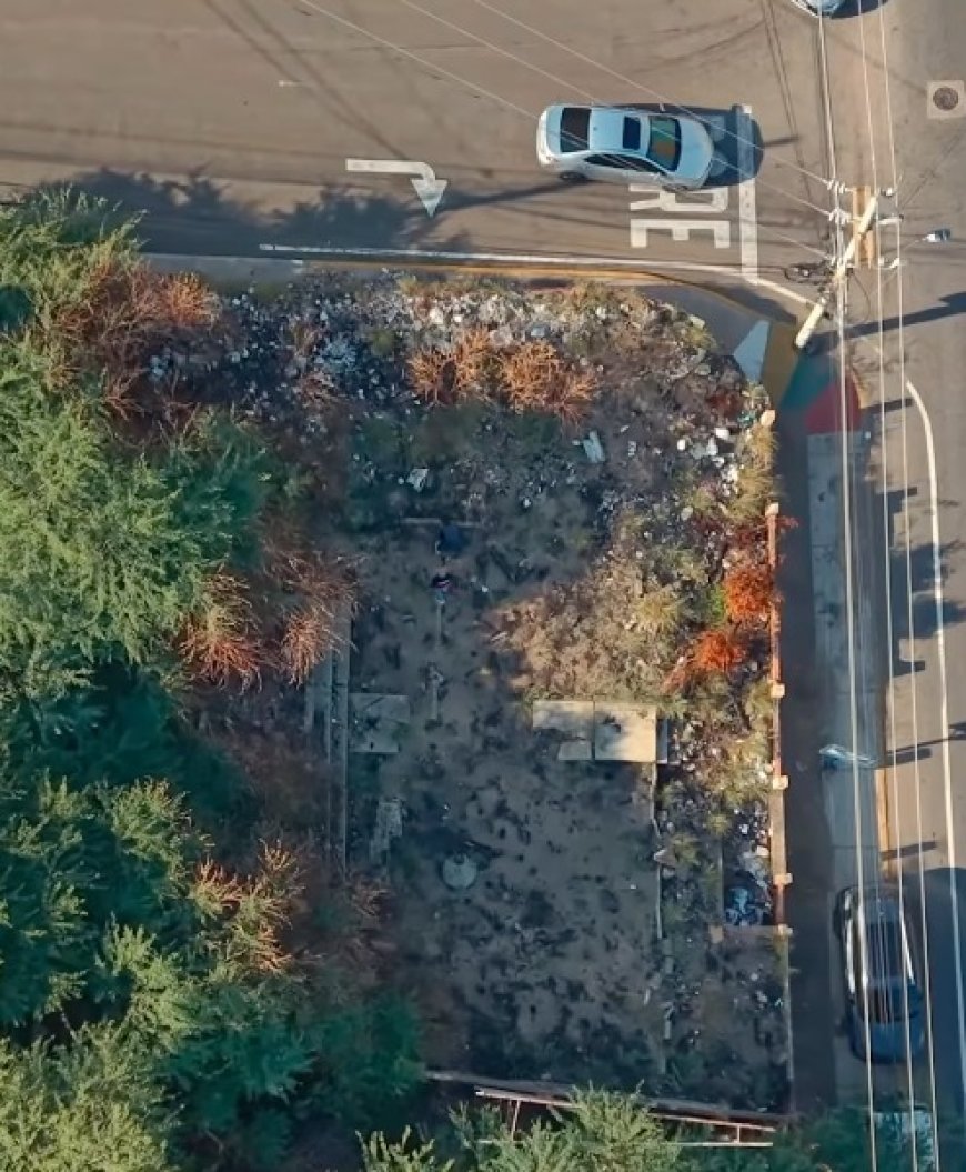 MARACAIBO: Alcaldía insta a dueños de terreno abandonado en El Milagro a ponerse a derecho