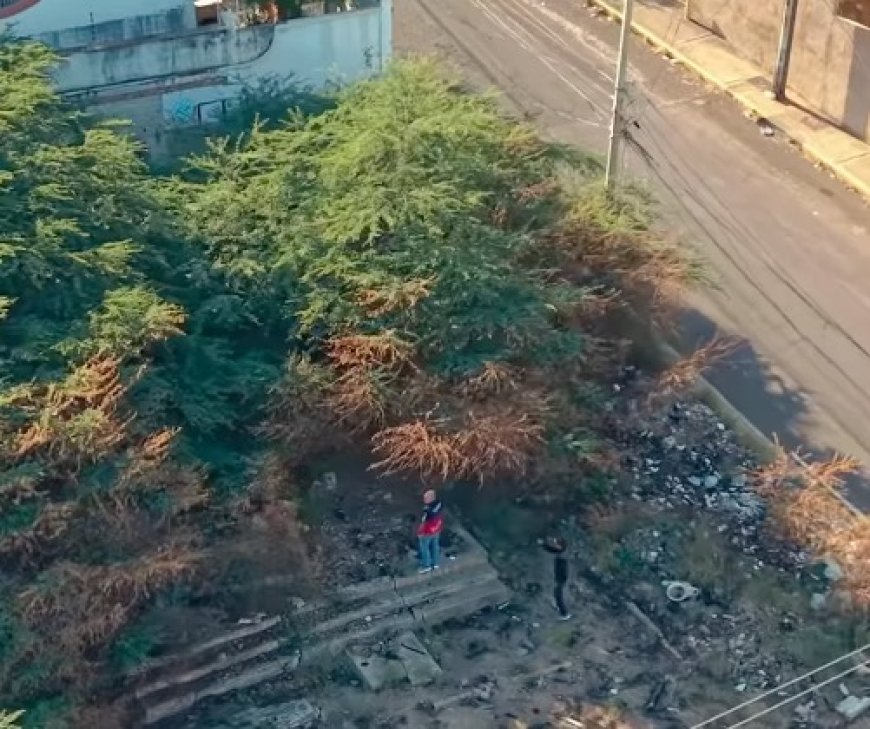 MARACAIBO: Alcaldía insta a dueños de terreno abandonado en El Milagro a ponerse a derecho