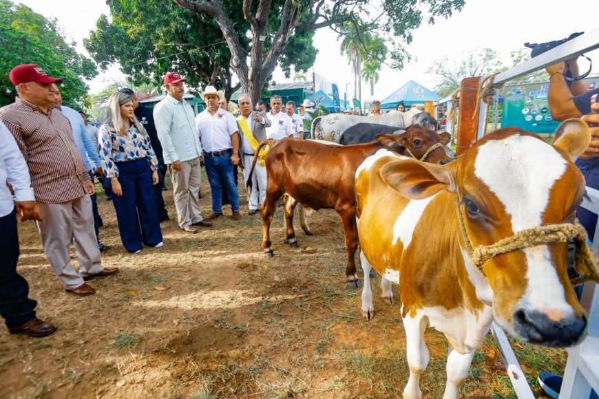 El Zulia potencia impulsa agenda de desarrollo en la Feria Agropecuaria de San José de Perijá.