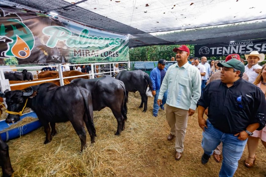 El Zulia potencia impulsa agenda de desarrollo en la Feria Agropecuaria de San José de Perijá.