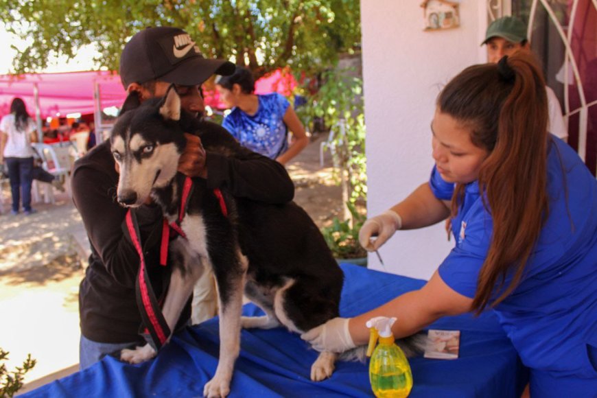 Más de 500 pacientes atendidos en jornada de la Alcaldía de Maracaibo en Hurtado Higuera