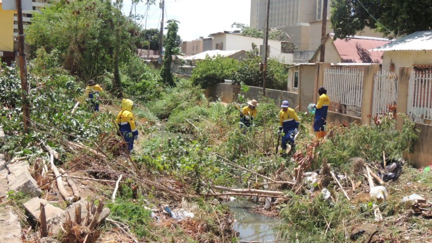 ¡Trabajo de saneamiento indetenible! IMA limpió 970 metros de la cañada Hamburgo en Santa Lucia