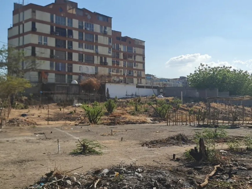 ALERTA: vuelven las invasiones