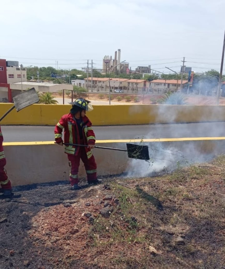 Bomberos sofocan incendios en dos zonas urbanas de San Francisco