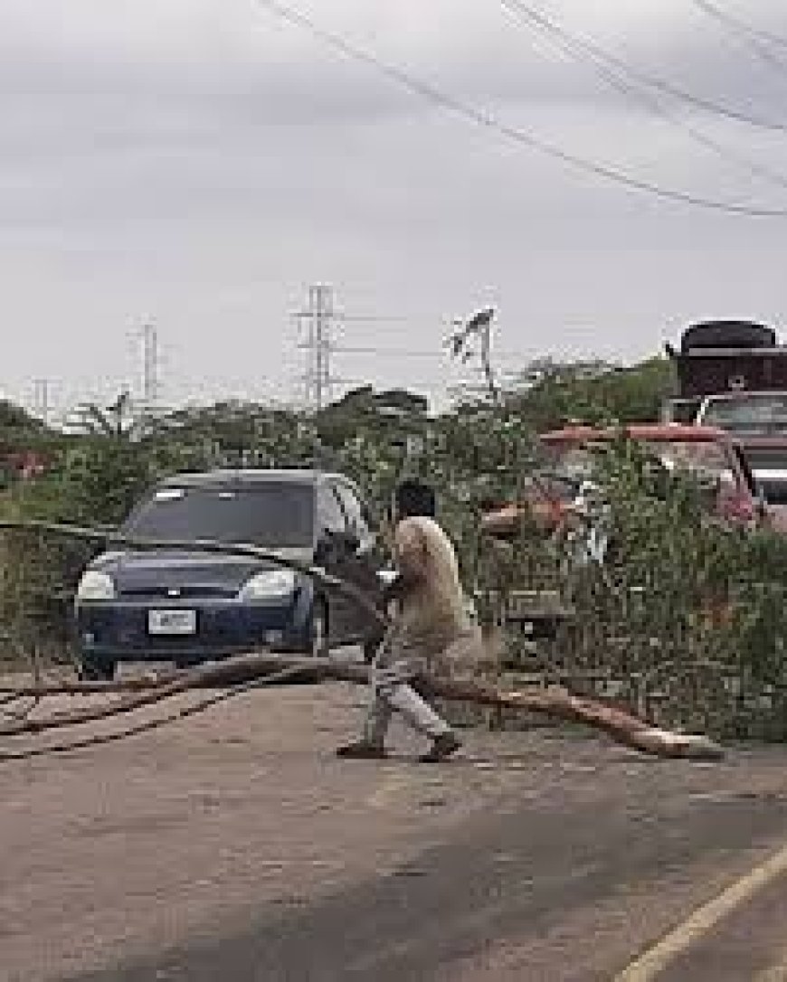 El Zulia no debe convertirse en la "tierra de nadie"