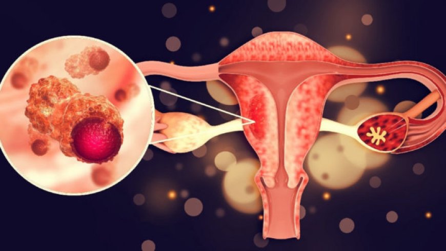 Pasos clave tras detectar VPH: hoja de ruta para proteger la salud femenina