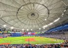 Tampa Bay regresa al "Tropicana Field" frente a los Cachorros
