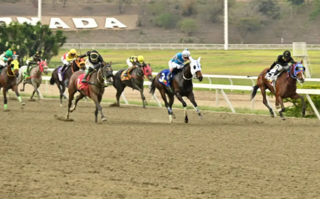 Tarde de mercado libre en La Rinconada