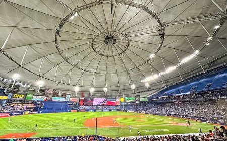 Tampa Bay regresa al "Tropicana Field" frente a los Cachorros