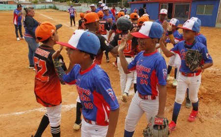 PEQUEÑAS LIGAS: Arranca la gran final nacional preinfantil>