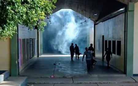 Fumigaron en 10 escuelas de las parroquias Cacique Mara y Cecilio Acosta