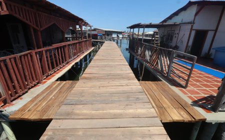 20 años esperaron caminerías de Santa Rosa a Di Martino para que las arreglara