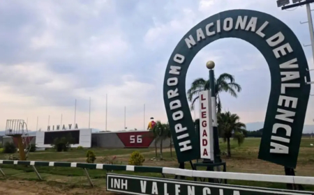 Más de 29 mil dólares pagan los cuadros con 6 acertados en Valencia