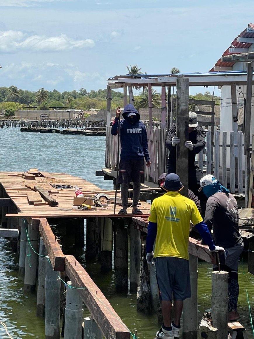 Rehabilitación de caminerías en Palafitos de Santa Rosa de Agua alcanza 40%