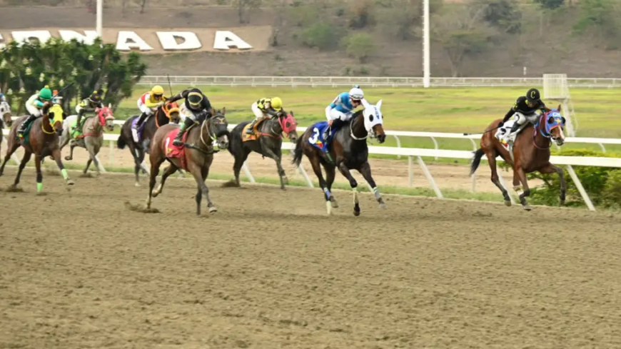 Tarde de mercado libre en La Rinconada
