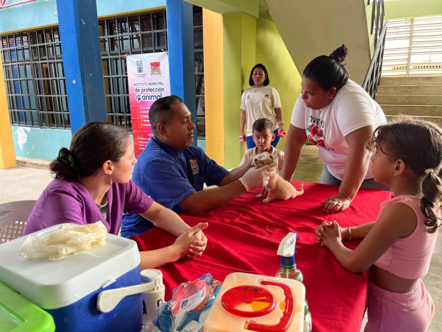 El IMPA consolida su alcance Más de 4.200 mascotas atendidas durante el primer trimestre
