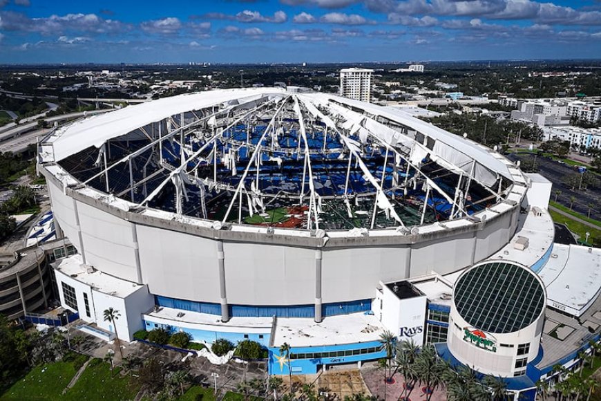 Tampa Bay regresa al "Tropicana Field" frente a los Cachorros