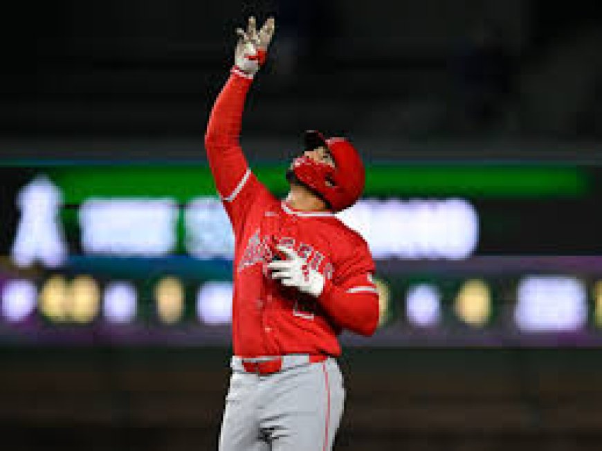 Multimonstruoso retorno