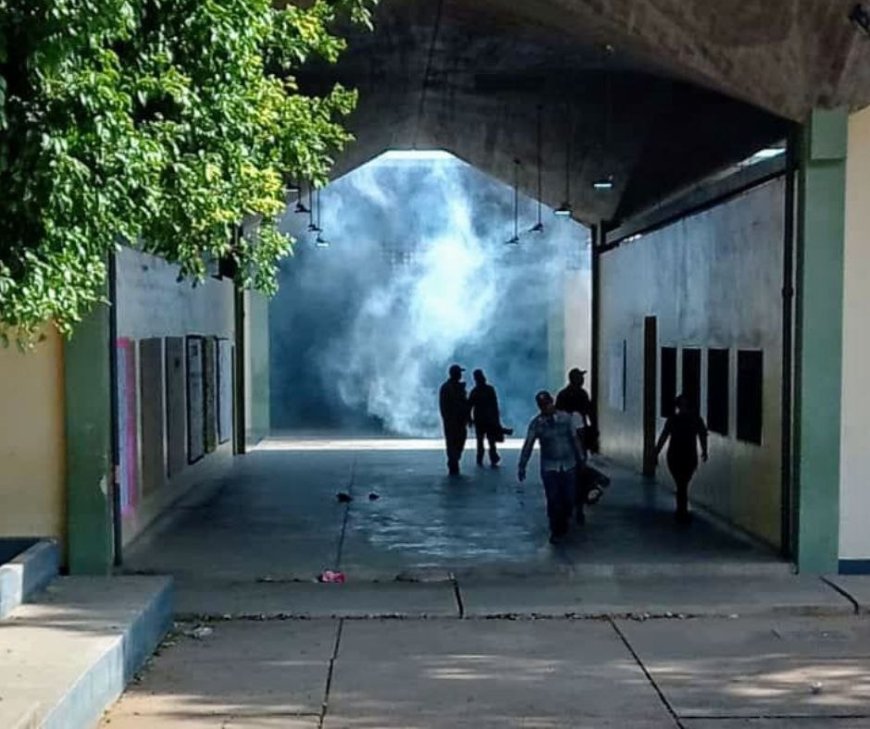 Fumigaron en 10 escuelas de las parroquias Cacique Mara y Cecilio Acosta