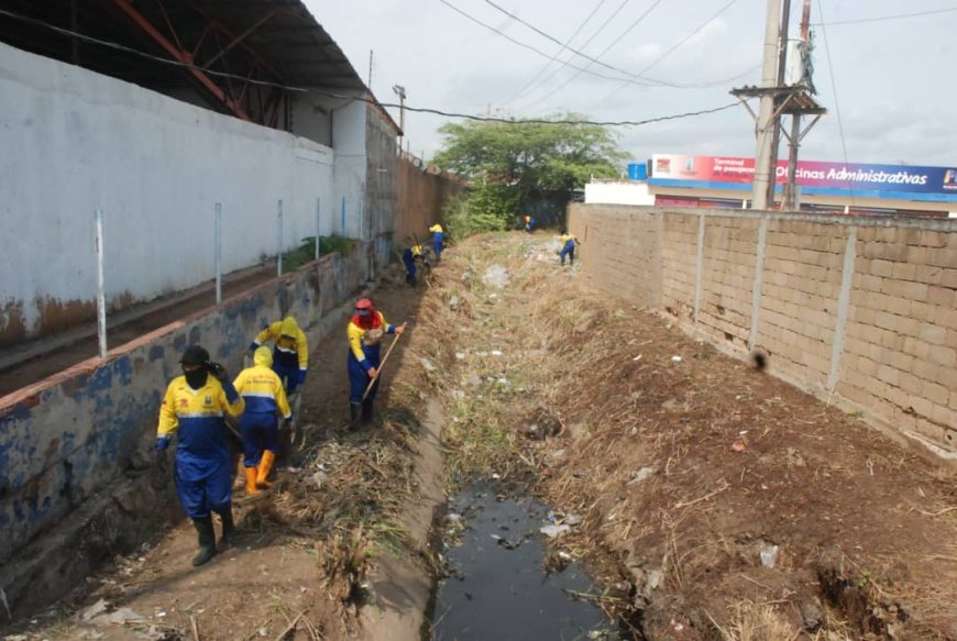 Alcaldía de Maracaibo activada: Limpia cañadas ante la llegada de las lluvias