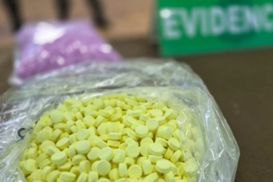 Venezolanos y chilenos atrapados con 33 mil pastillas de metanfetaminas