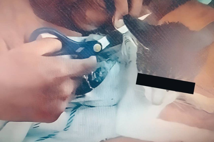 Convierten a un gato en «mula»: atrapado introduciendo droga a un penal