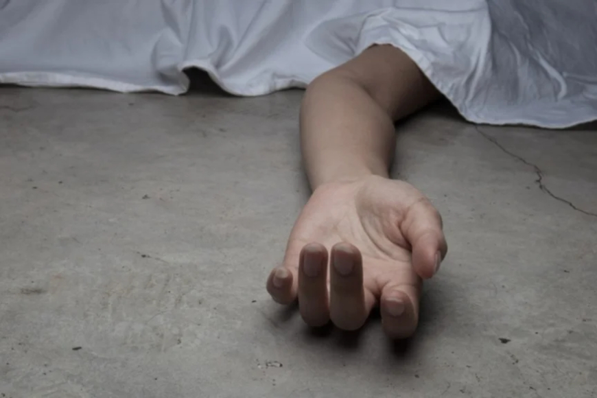 Asesinó a su madre en un ancianato ccn su hijo como cómplice