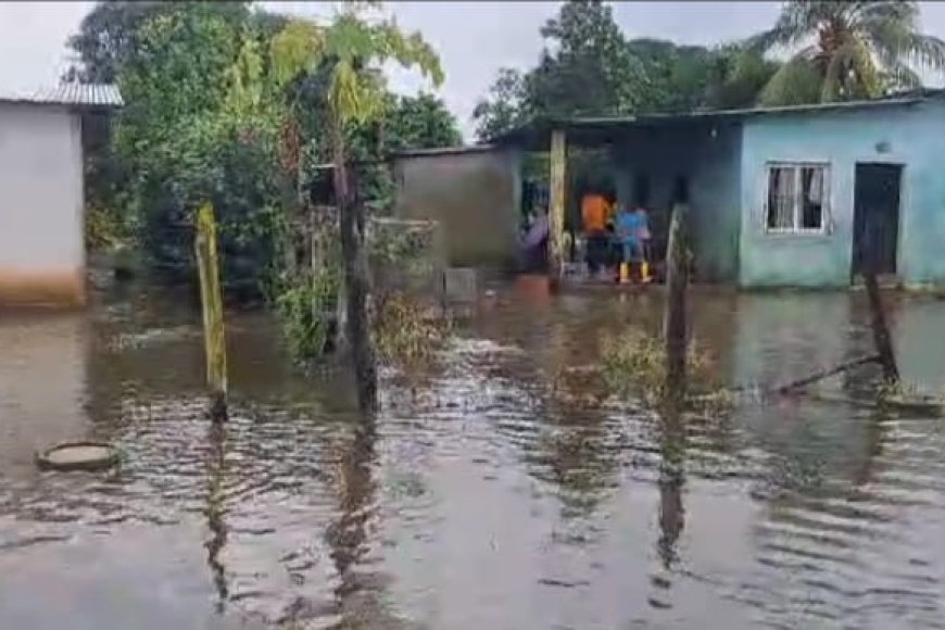 BARINAS: Nutrias sigue bajo las aguas y desborde del caño Masparrito inundó barriadas de Libertad
