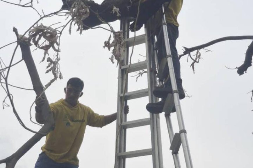 NO HUBO DAÑOS. Cañadas fluyeron durante el aguacero porque Di Martino las limpió