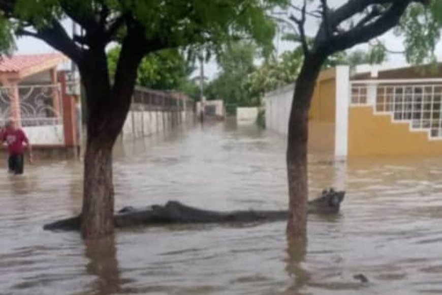 Aguacero de este sábado inundó a varios sectores populares de Cabimas