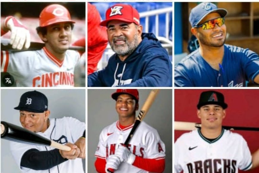 LVBP: Interesante edición 80 arranca este míercoles 15