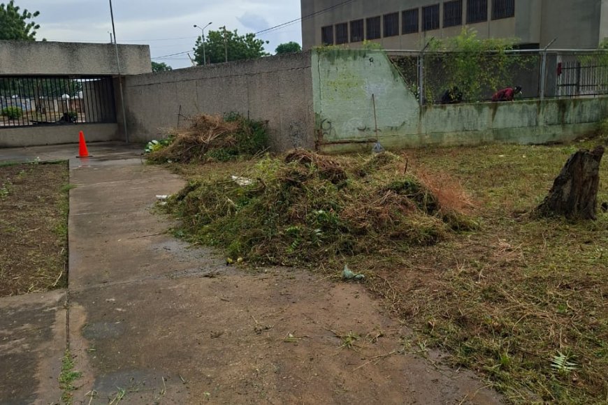 La Alcaldía y el IMA no descansan: Ahora limpiaron Pomona y Palaima
