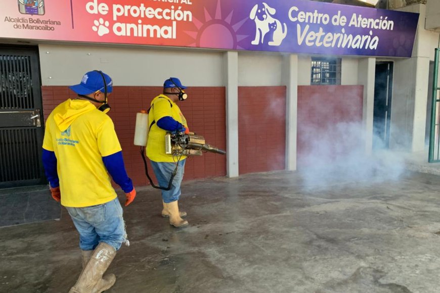 Fumigaron la Plaza para Todos
