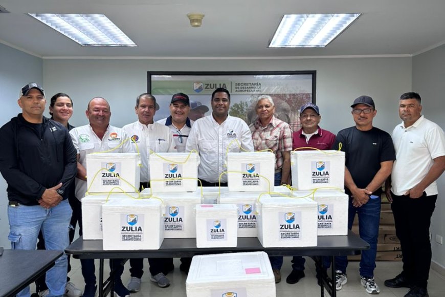 ZULIA: Plan de erradicación de la fiebre aftosa suma la entrega de 145.000 vacunas