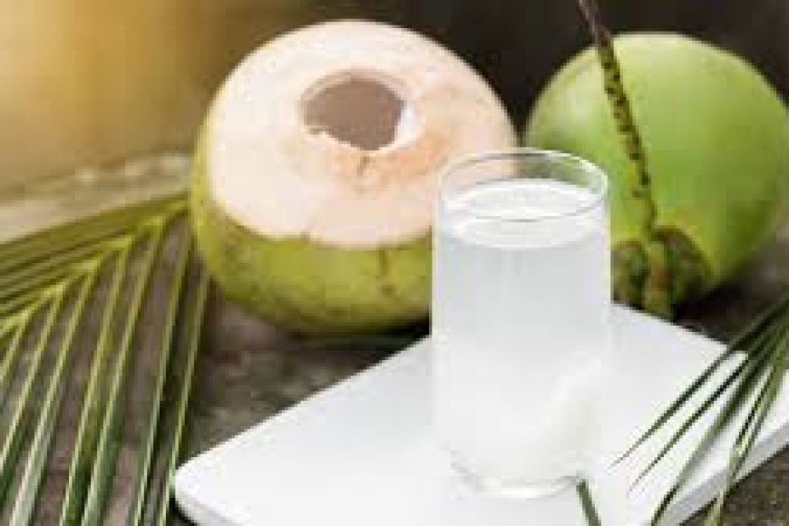 Reinicio saludable Post-Navidad: El Agua de Coco para la digestión y el bienestar