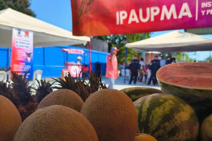 Maracaibo elevó su producción agrícola a 40% en la gestión del alcalde Giancarlo Di Martino