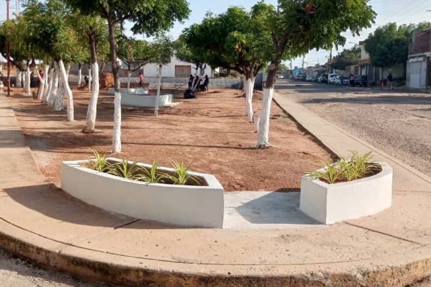 ALTOS DEL SOL AMADA: Líderes comunales rinden cuentas por obra ambiental