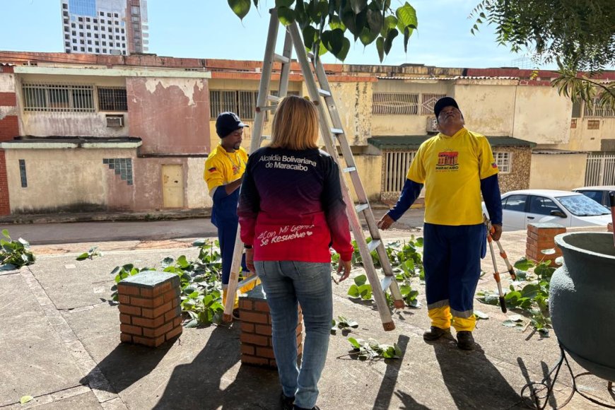Conjunto Residencial Los Caobos recibe embellecimiento de la Alcaldía de Maracaibo