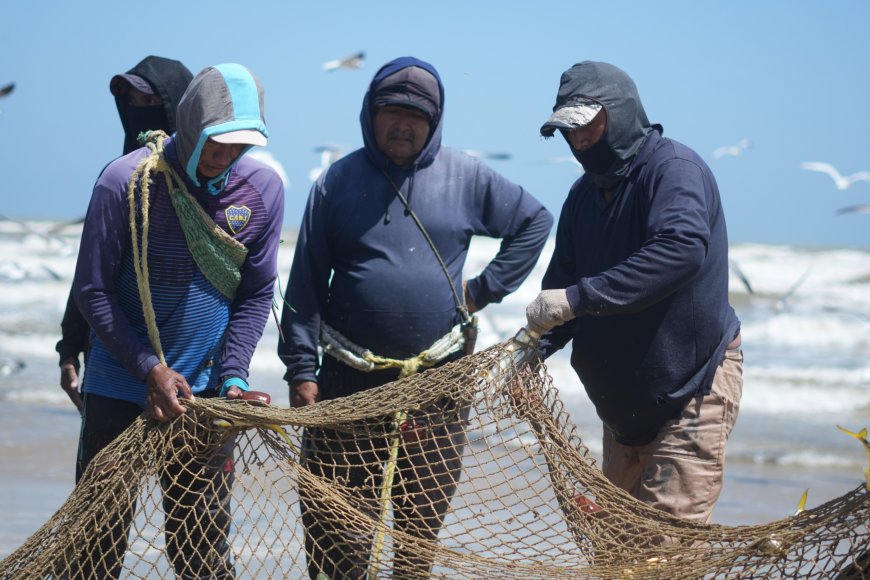 Gobierno fortalece sector pesquero con censo en el municipio Guajira