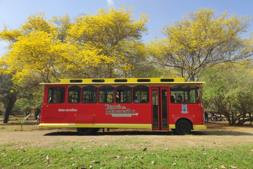 Tranvía de Maracaibo impulsa el turismo con la ruta emblemática al Jardín Botánico