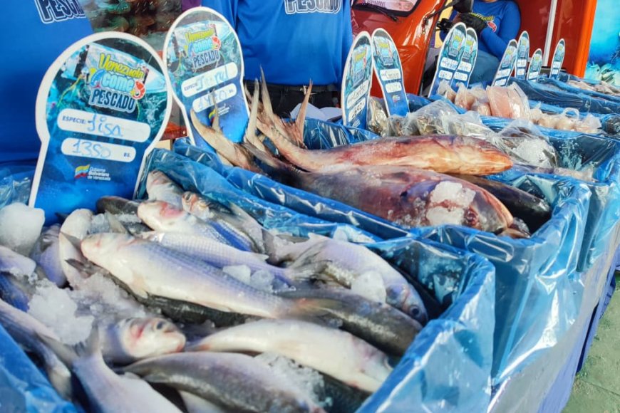 14 toneladas de alimentos en jornada integral para el pueblo de San Francisco