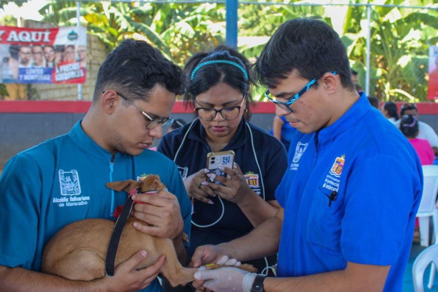 ¡El sábado 7M en Villa Carmen! Jornada de vacunación para caninos y felinos