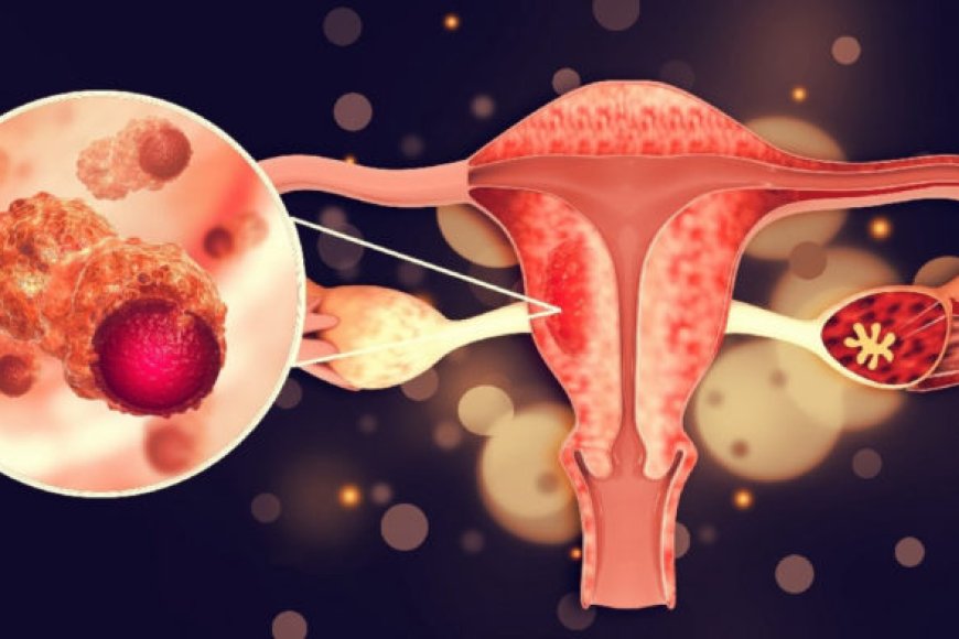 Pasos clave tras detectar VPH: hoja de ruta para proteger la salud femenina