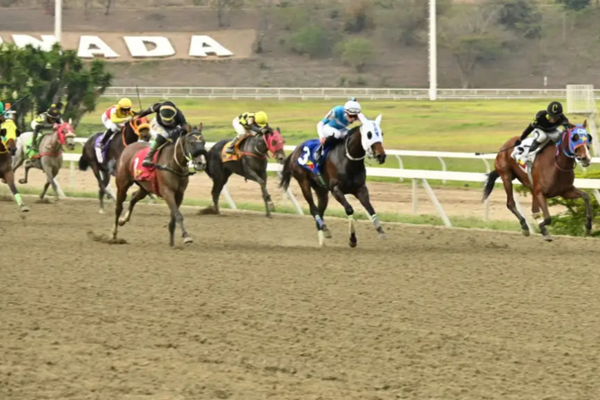 Tarde de mercado libre en La Rinconada