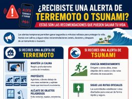 ¿Recibiste una alerta de terremoto o tsunami? Estas son las recomendaciones que pueden salvar tu vida ¿Qué hacer cuando recibes una alerta de terremoto o tsunami?