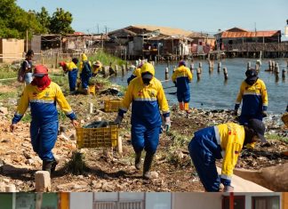 Nueva ordenanza ambiental blinda a Maracaibo con Guardianes y un Observatorio para protegerla