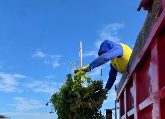 12 toneladas de basura semanales recoge Sedecema en cementerios Corazón de Jesús y San José