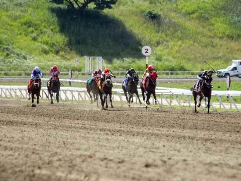La carrera de Los Sprinters este domingo en La Rinconada