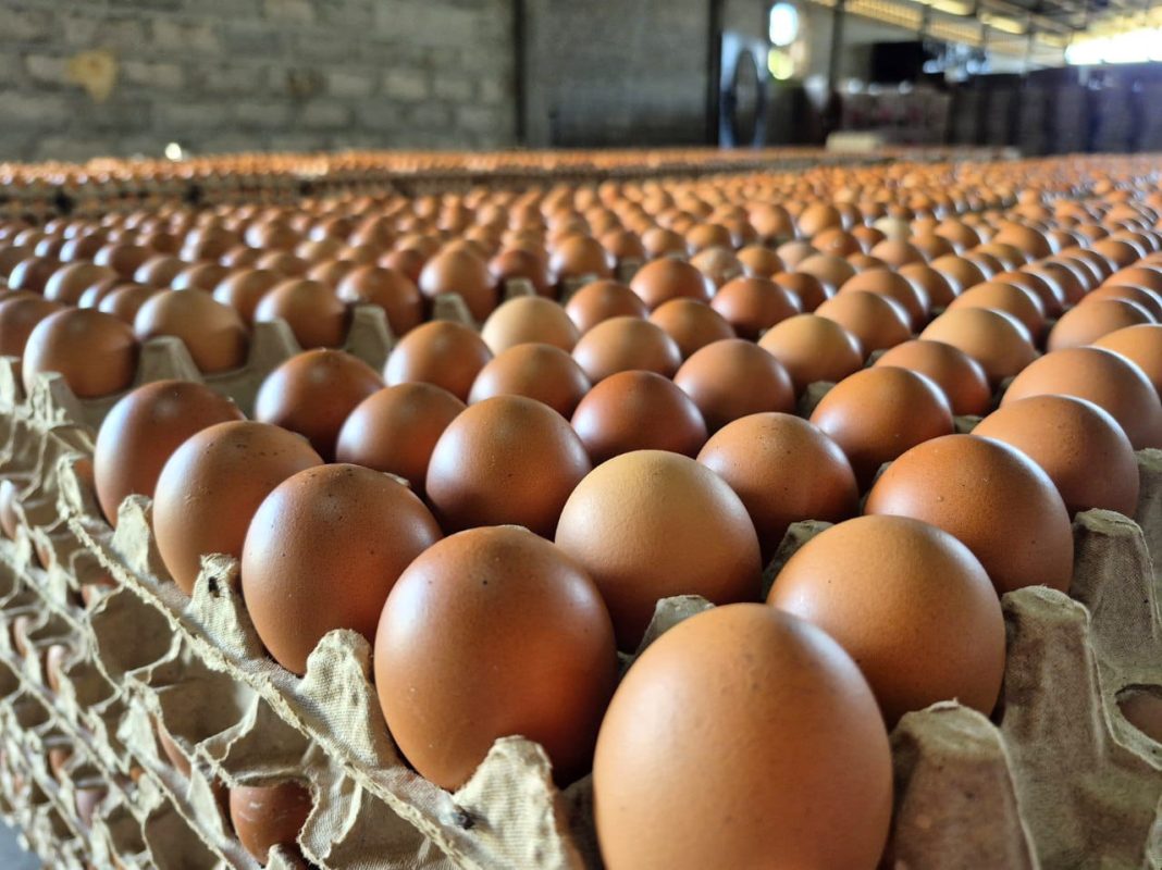 Gobernación del Zulia impulsa la producción agroindustrial en alianza con el sector privado