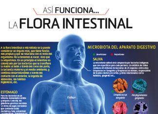Microbiota equilibrado y hábitos saludables: la barrera natural para prevenir el cáncer